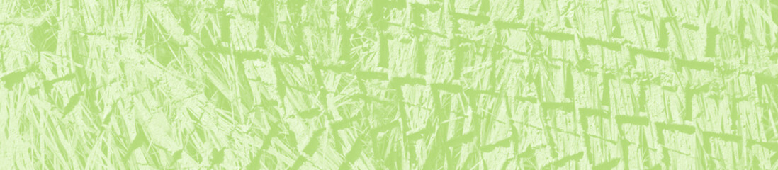 Fototapeta na wymiar abstract light green background with copy space for design