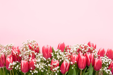 Pink tulips and gypsophila flowers border on a pink background, selective focus. Mothers Day, birthday concept.