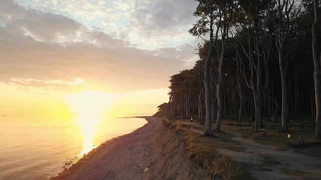 K&uuml;stenwald Nienhagen Gespensterwald an der deutschen Ostseek&uuml;ste zum Sonnenaufgang