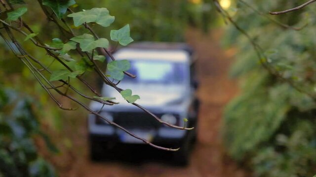Blurred out Off road truck driving in jungle, in Madeira - Focus on branches