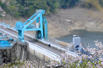 春のダムに溜まる川の水