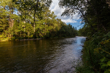 Far Eastern nature. A picturesque reserved mountain river flows between green trees.