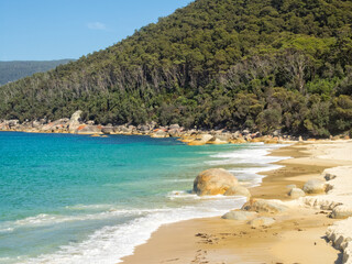 Another beautiful sandy beach at North Waterloo Bay - Wilsons Promontory, Victoria, Australia