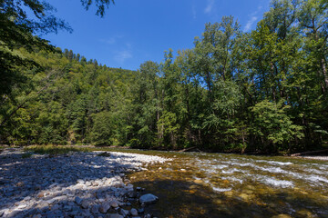 Far Eastern nature. A picturesque reserved mountain river flows between green trees.