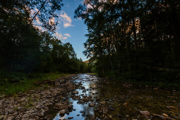 Far Eastern nature. A picturesque reserved mountain river flows between green trees.