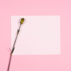 Blank sheet of paper on a pink background with flowers