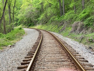 Fototapeta premium Beautiful railroad running through the forest