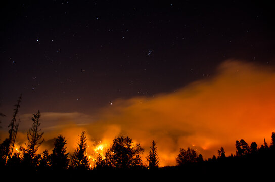 Forest Fire Under the Night Sky