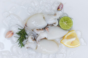 Seafood squid on ice for cooking food in the restaurant, Fresh raw octopus cuttlefish ocean gourmet with lemon and rosemary on white plate