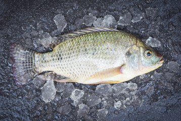 Tilapia fish freshwater for cooking food in the asian restaurant, Fresh raw tilapia from farm on ice market food , Fresh fish top view