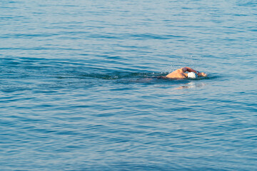 A man free swims alone in a lake for exercise