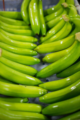 Bunches of fresh green thailand banana