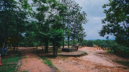 Forest path.