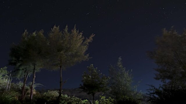 Clear Night in the Forest and Time Lapse of Night Stars with Orion's Nebula, Gujarat, India