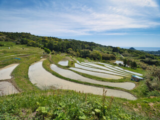 棚田の風景