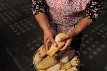 tamales ciudad de méxico 