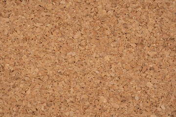 コルクの表面