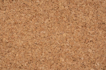 コルクの表面