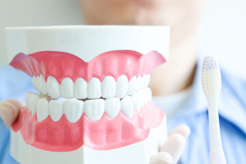 hands of a dentist, he is demonstrating how to brush your teeth properly. To clean the teeth and oral cavity.