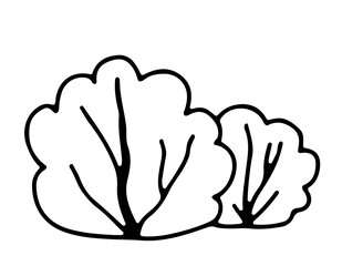 Stylized bushes. Illustration of a tree hand-drawn in doodle style with an outline for print, web, mobile, isolated on a white background. Vector