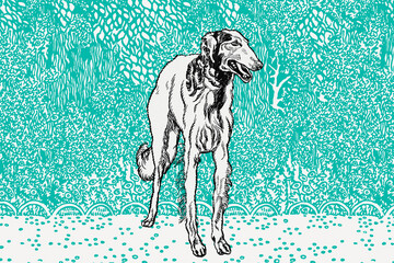 Cute greyhound dog vintage illustration