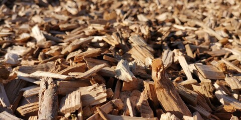 dried tobacco leaves