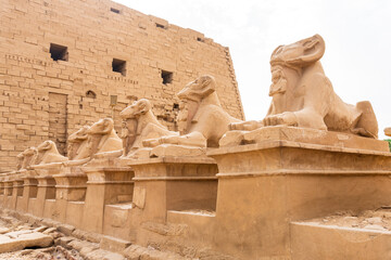 Naklejka premium Sphinxes near entry to Karnak temple complex in Luxor city in Egypt