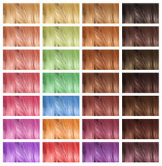 Samples of hair dyed in different colors