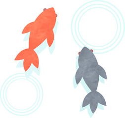金魚　赤　黒　波紋