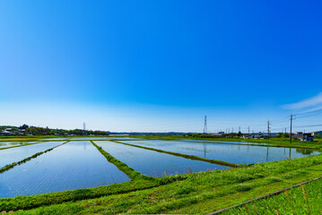 Obraz premium 田園風景 米作り 稲作 田舎 【 初夏の田植えが終わった水田 】