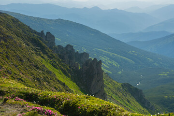 Obraz premium Beautiful summer landscapes of the Ukrainian Carpathian Mountains with blooming flowers, lakes and happy tourists