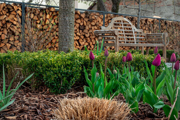 Ławeczka na tle drewna w wiosennym ogrodzie