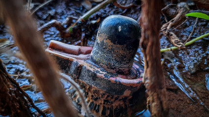 shiva lingam in woods