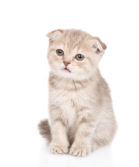 Cute tiny kitten sits in front view and looks at camera. isolated on white background