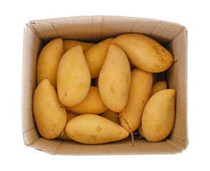 Mango yellow in paper box isolated on white background, clipping path.