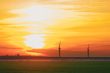 many windmills stand on a large field spinning in the evening against a sunset orange sky....