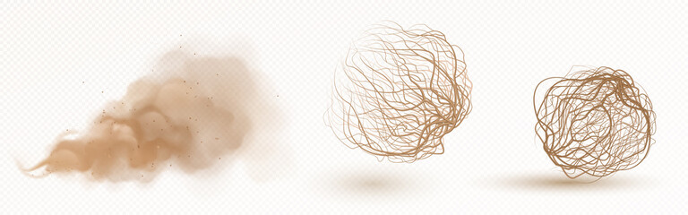 Tumbleweed, dry weed ball and brown dust clouds isolated on transparent background. Vector realistic set of flow desert sand and dead plants, rolling dry bushes, old tumble grass in prairie © klyaksun