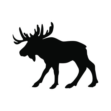 black silhouette of a moose. silhouette of a wild animal