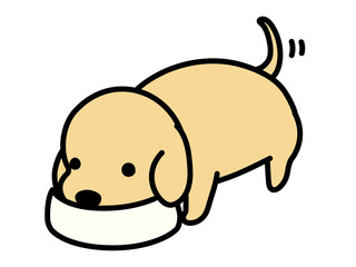 餌を食べる犬　レトリーバー