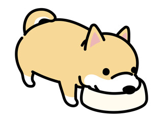 餌を食べる柴犬
