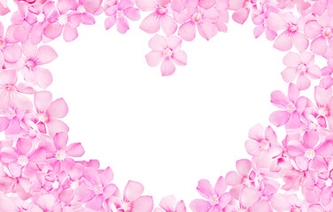 Fototapeta na wymiar Creative pastel pink flower heart frame