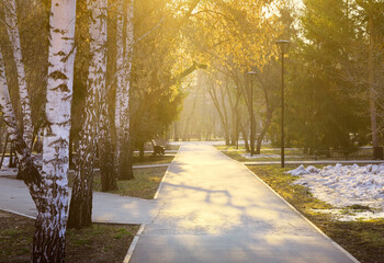 Morning in the spring park. The path of the park, lying among the birches and firs in the rays of the morning sun, the last drifts of undisturbed snow. Novosibirsk, Siberia, Russia