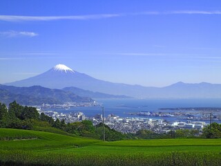 〈静岡〉日本平からの富士山と茶畑（Mt.fuji and Tea farm)
