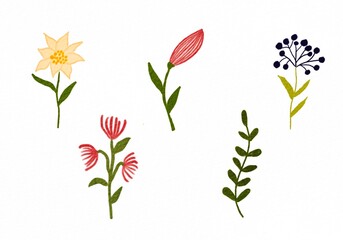 Fototapeta na wymiar Collection watercolor design elements of botanical wildflower, blue and pink flowers, daffodil, leaves, branches, blossom. Floral illustration isolated on white background