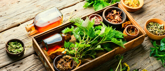 Homeopathic herbs and roots in herbal medicine