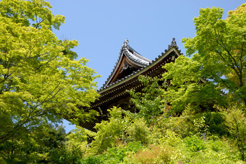 Naklejka premium 新緑の善峯寺 楼門 京都市西京区