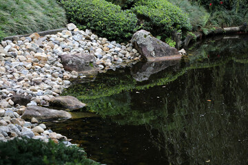Beautiful gardens of Mt Cootha Botanical Gardens in Brisbane, Queensland, Australia