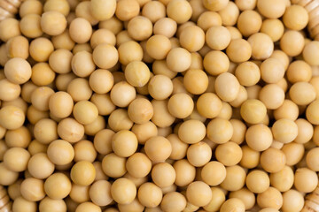 Top view Soybean pattern as for background