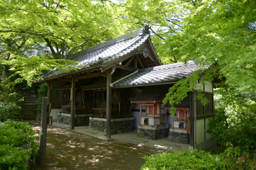 新緑の善峯寺　鎮守社　京都市西京区