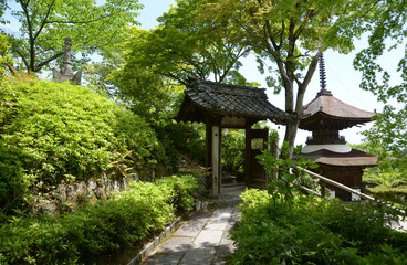 新緑の善峯寺　桂昌院廟入口の門　京都市西京区